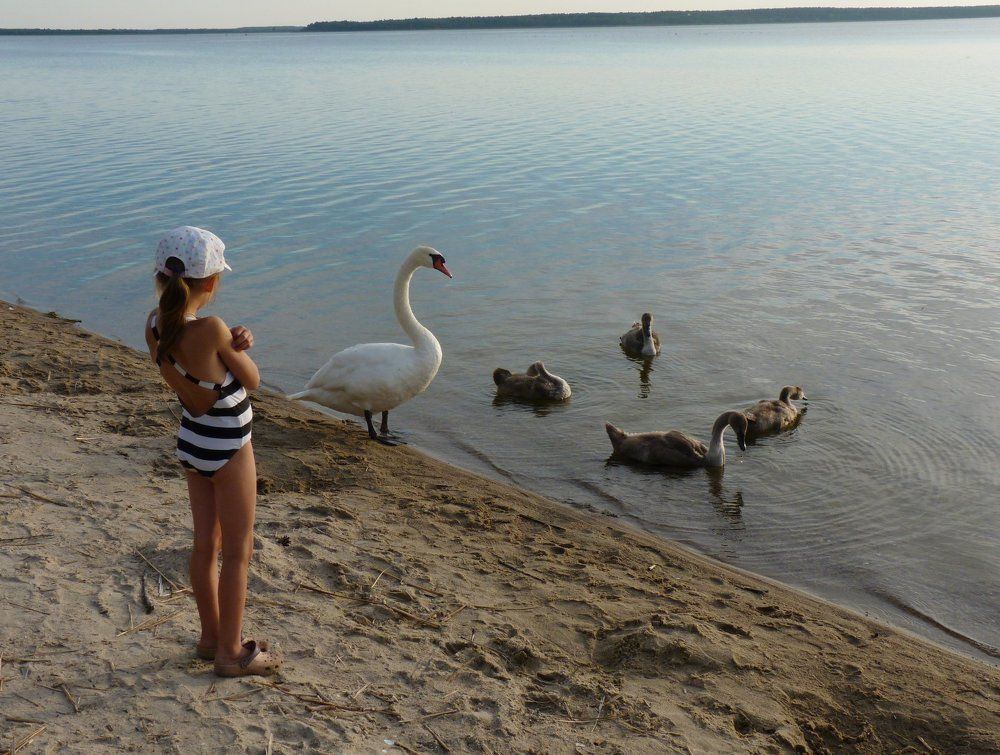 Photograph by Ольга