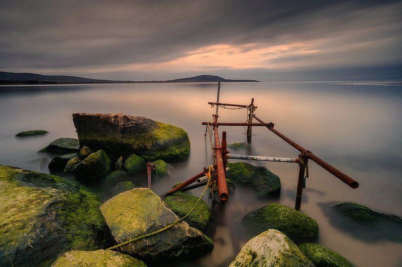 Peter Naydenov, Bulgaria