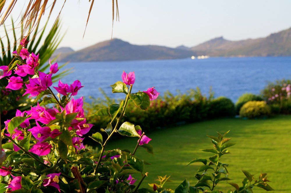 райский уголок