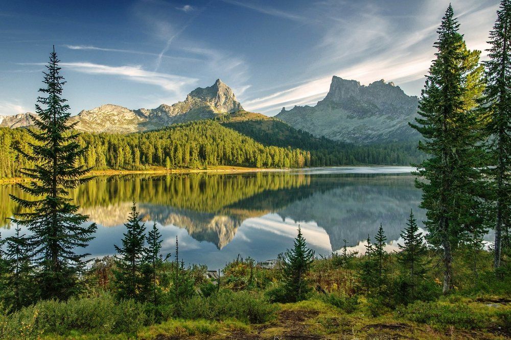 утро на Светлом