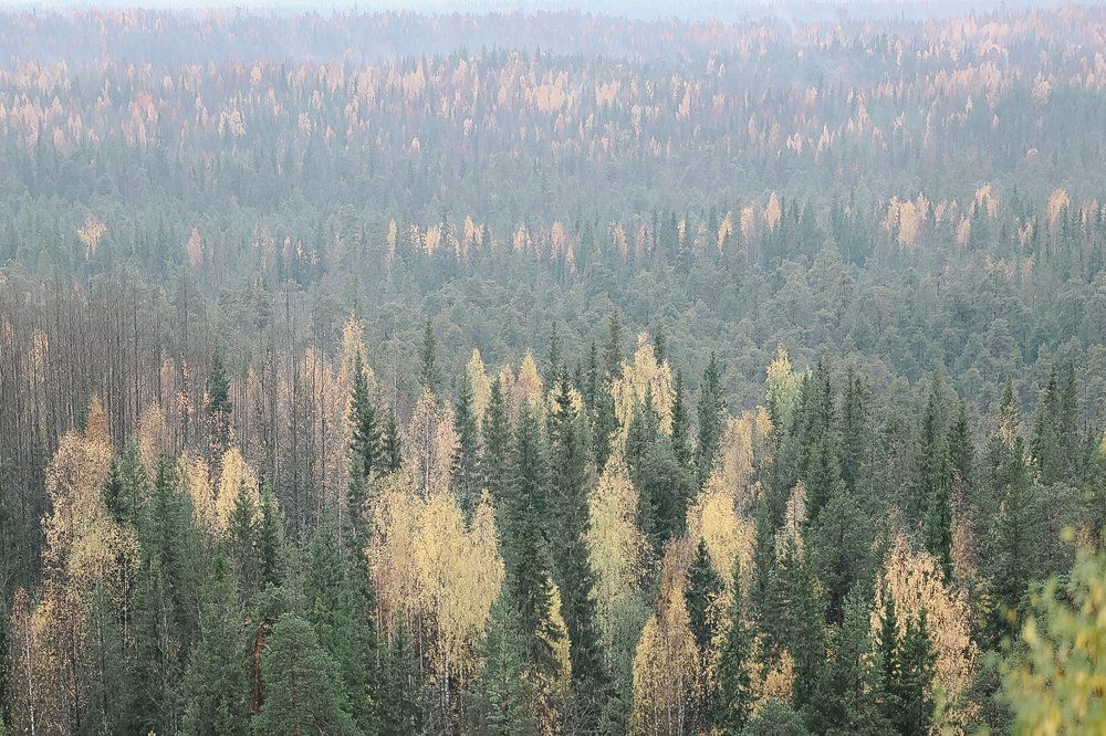 Бескрайние просторы