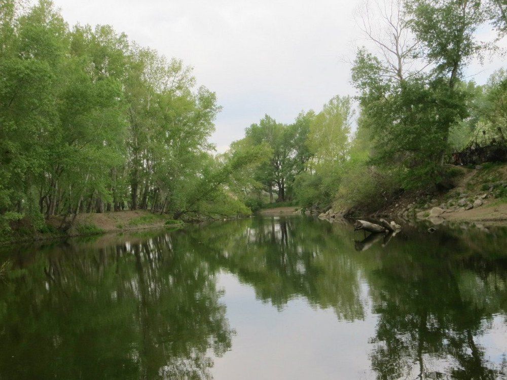 Безмятежность