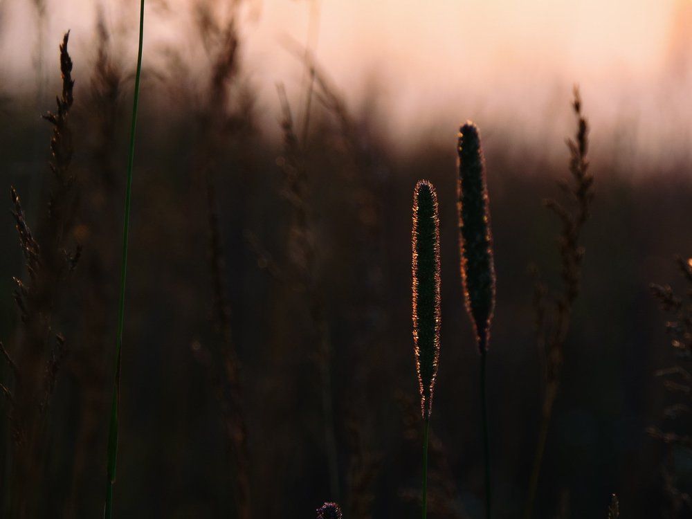 Photograph by Тетяна