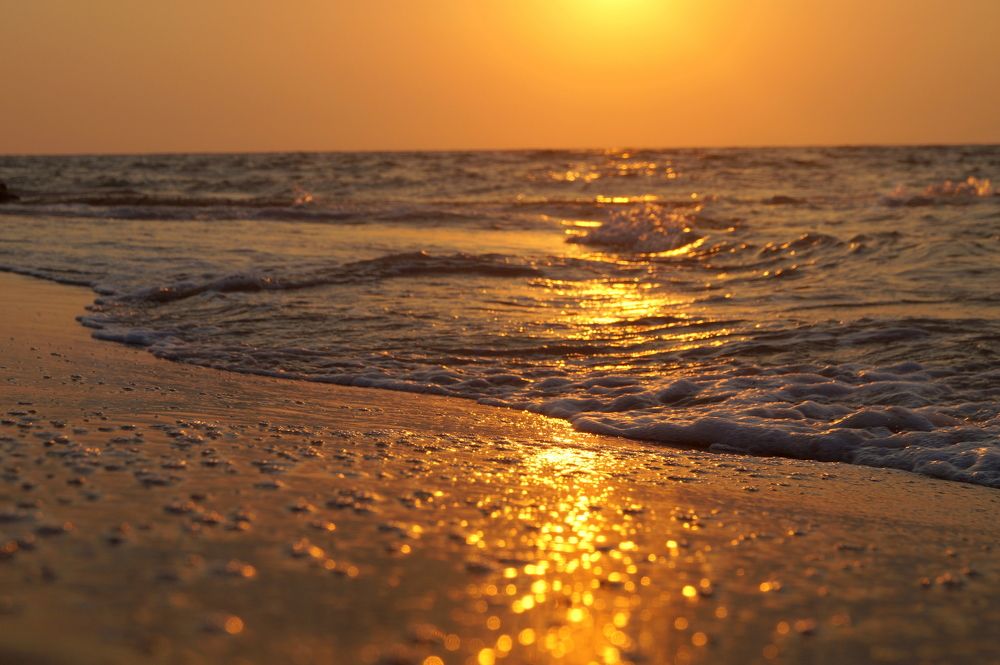 сонный берег...