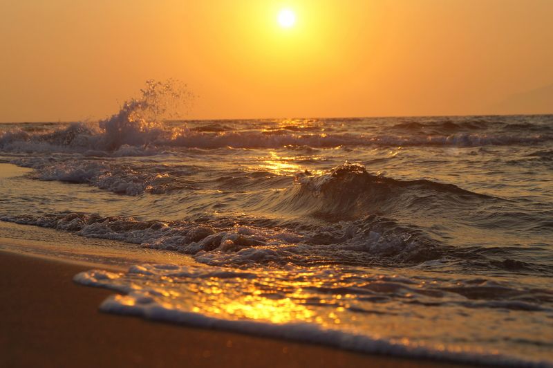 Anastasiia Zaitceva, Russia