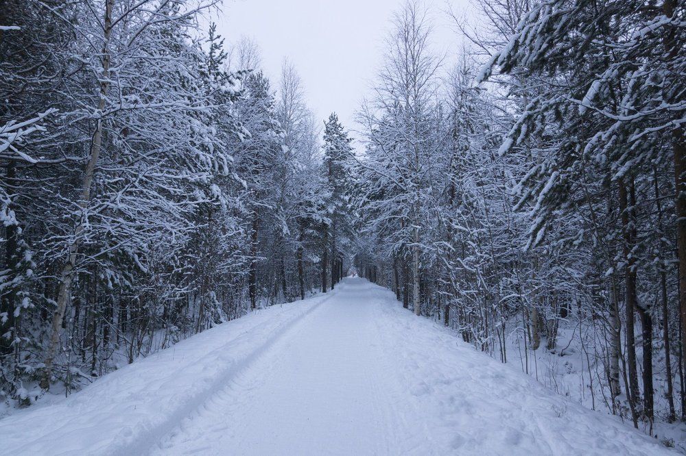 Прогулка в парке