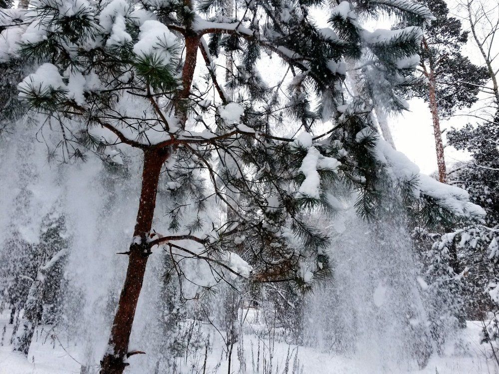 Снежный душ.