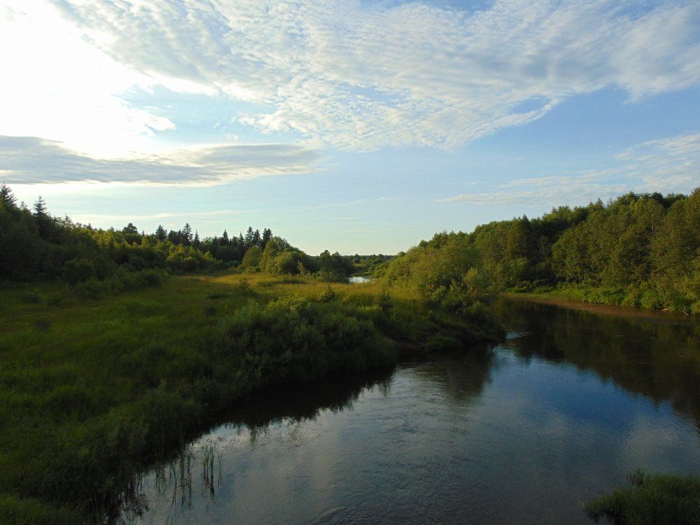 Вечерняя речушка