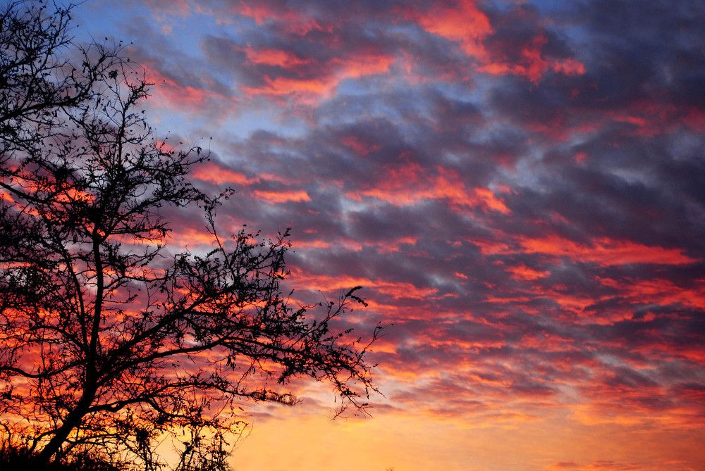 Вечерний закат