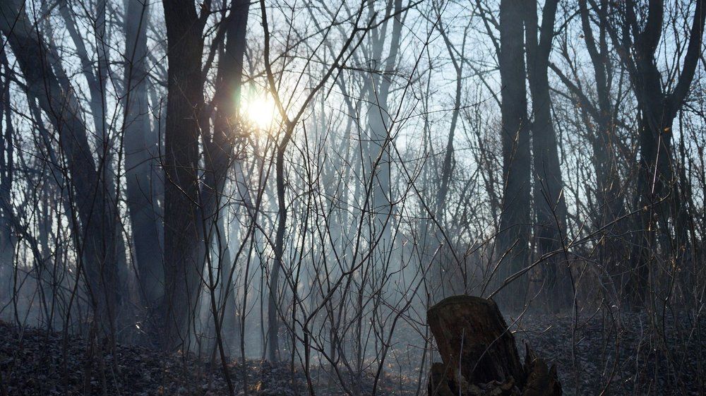 Photograph by Вячеслав