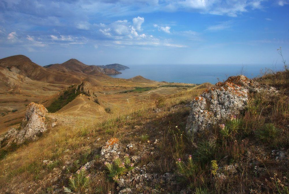 Над Тихой бухтой