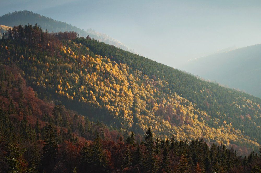 Photograph by Sofiya Hunchyk