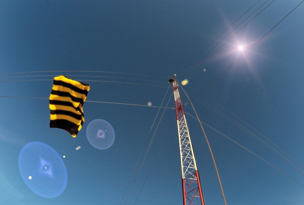 рекламная акция Билайн - антенна базовой станции