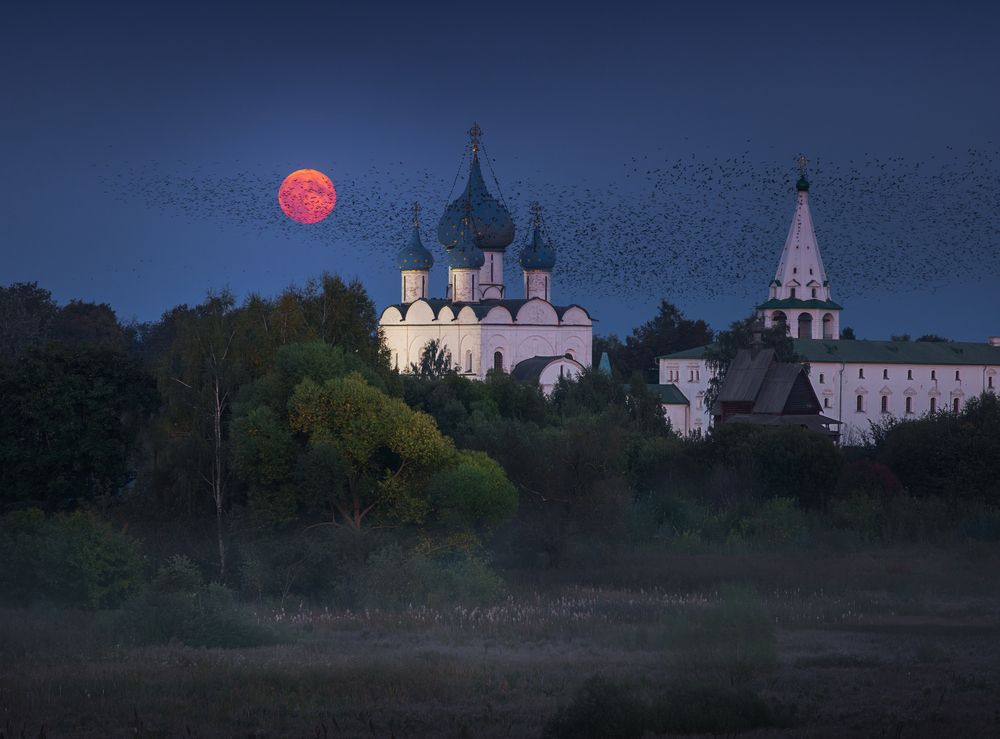 Photograph by Natalia Zakharova