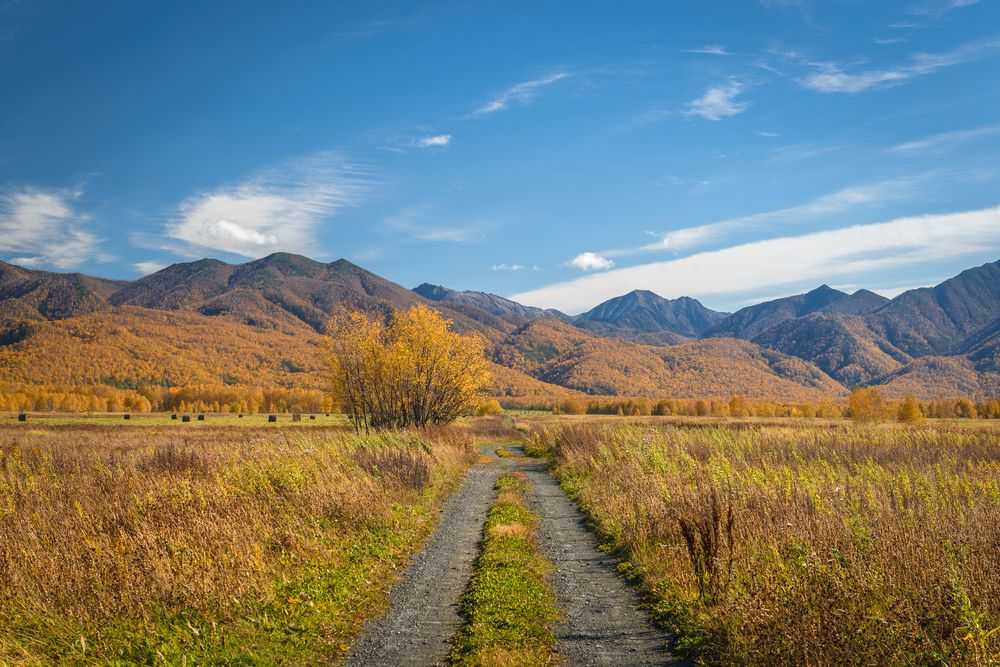 Photograph by Жора Житников