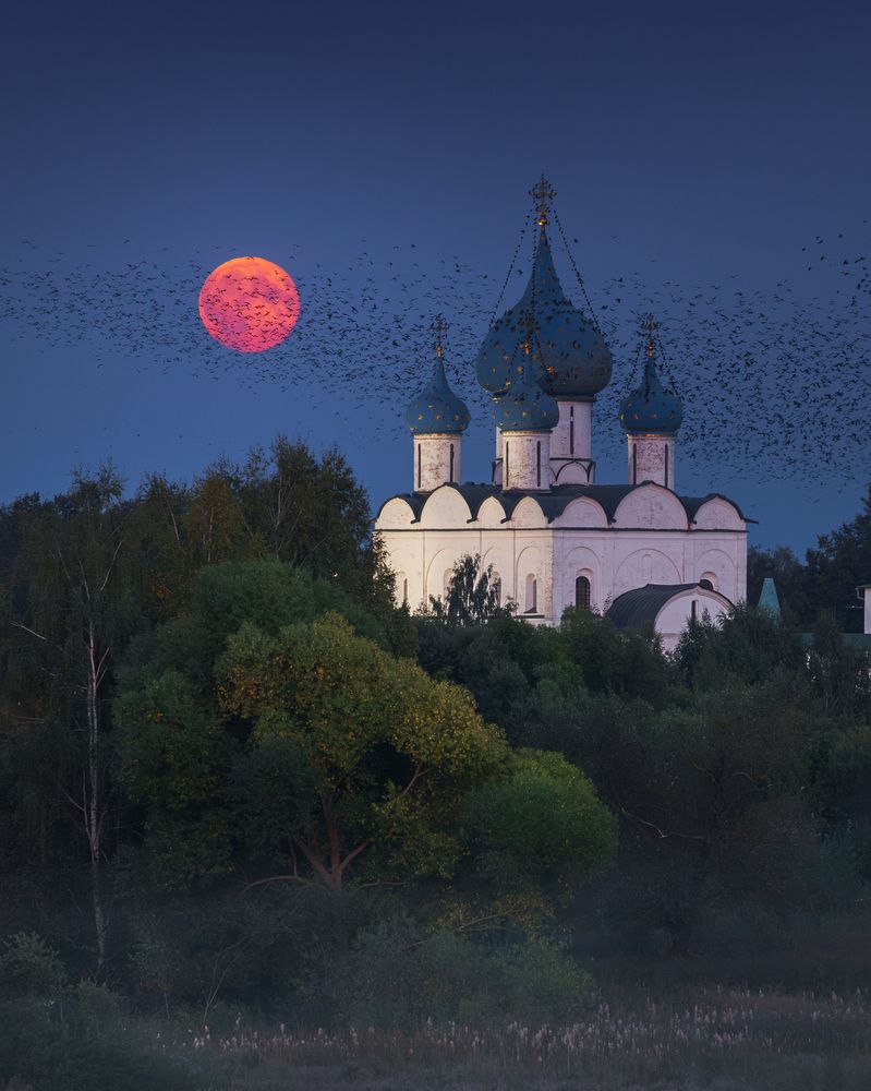 Photograph by Natalia Zakharova