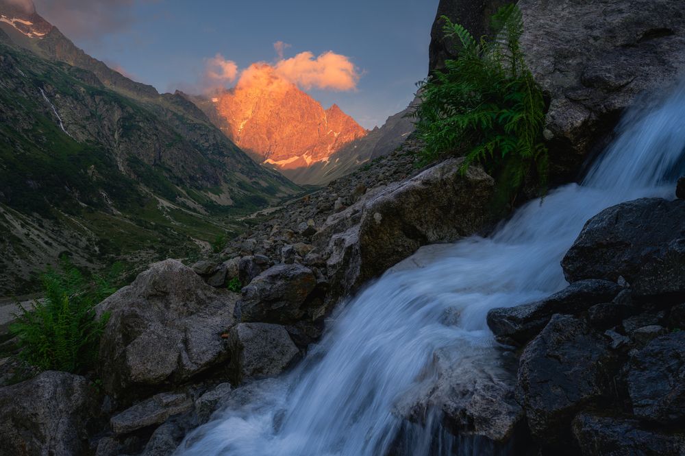 Photograph by Grégoire Pansu