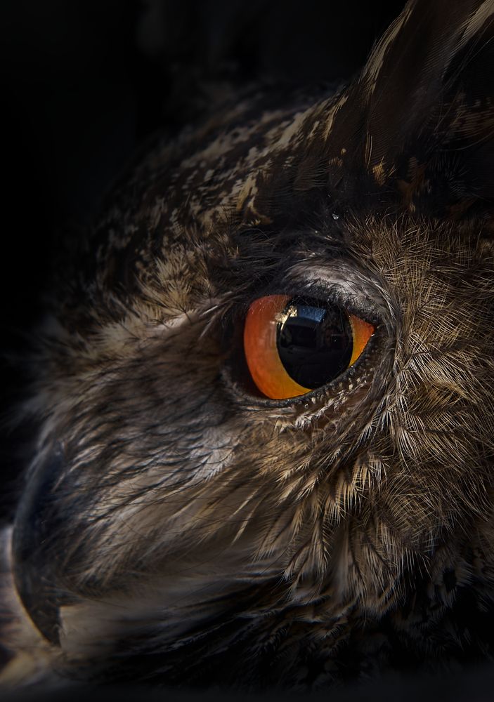 Фотография автора Ketov Vladimir