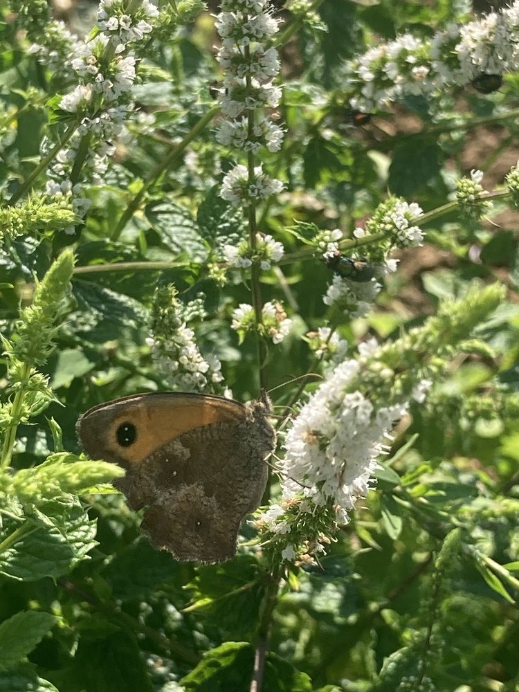 Photograph by Olena Rebrova