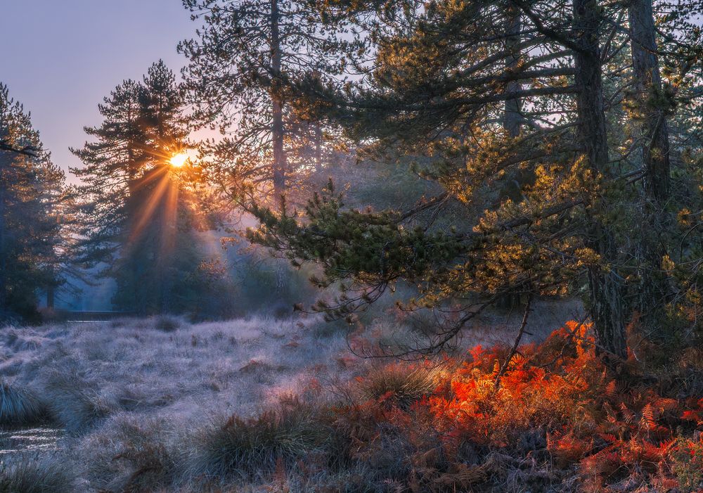 Photograph by Svetlana Tertyshnaya