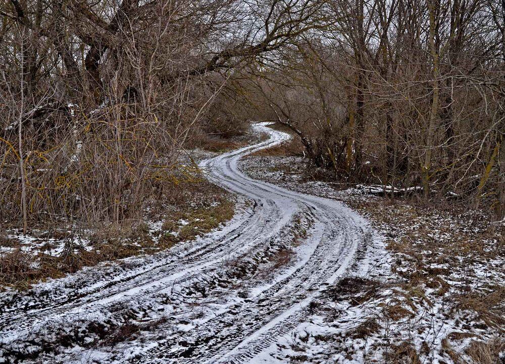 Дорога жизни