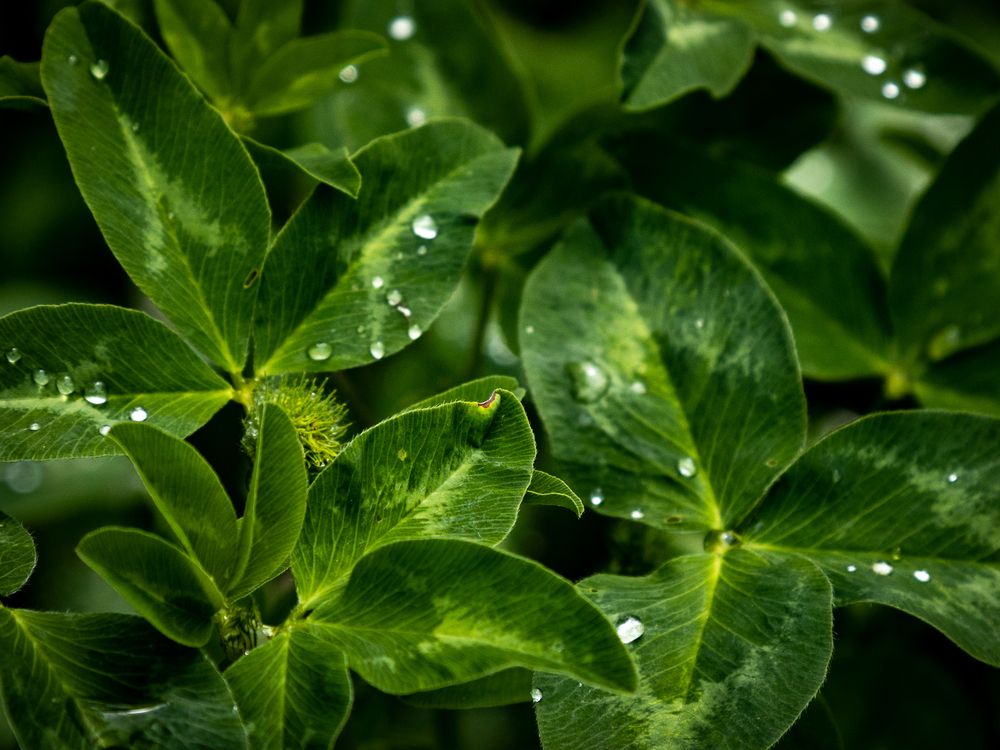 Photograph by Рина Серёгина