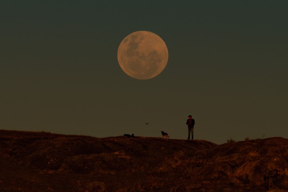 Photograph by Valmir Fernando da Silva