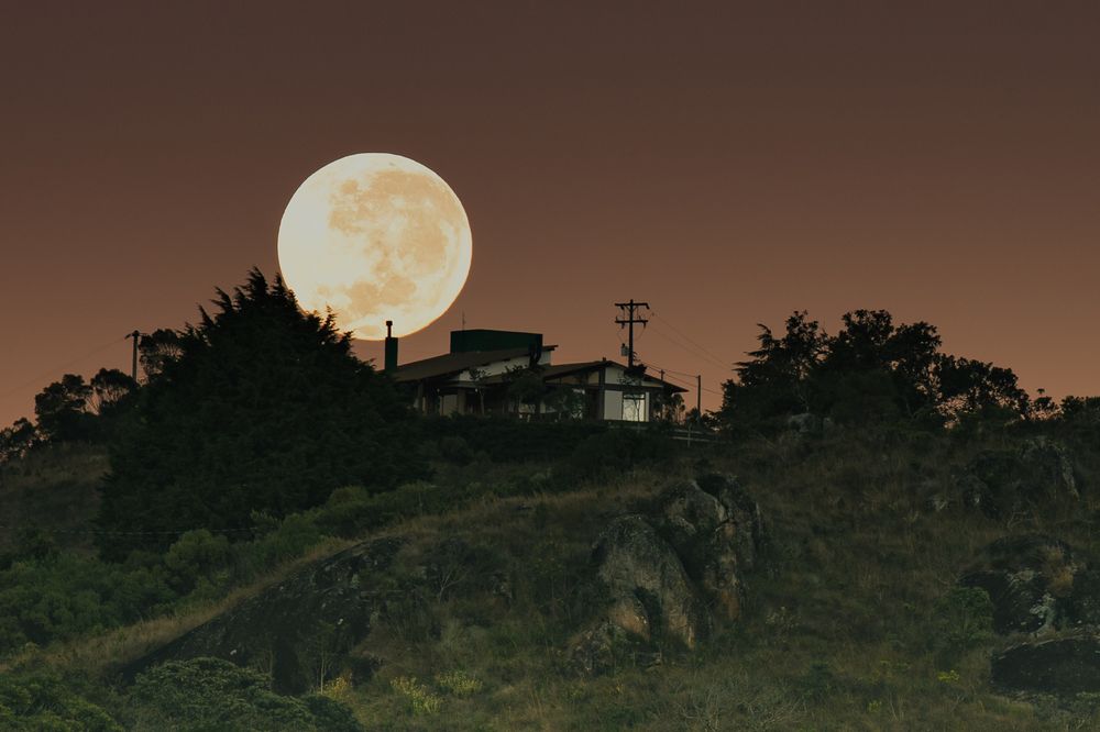 Photograph by Valmir Fernando da Silva