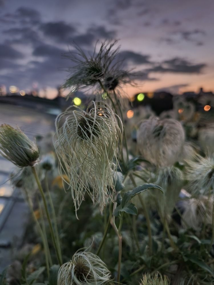 Photograph by Ирина Шауро