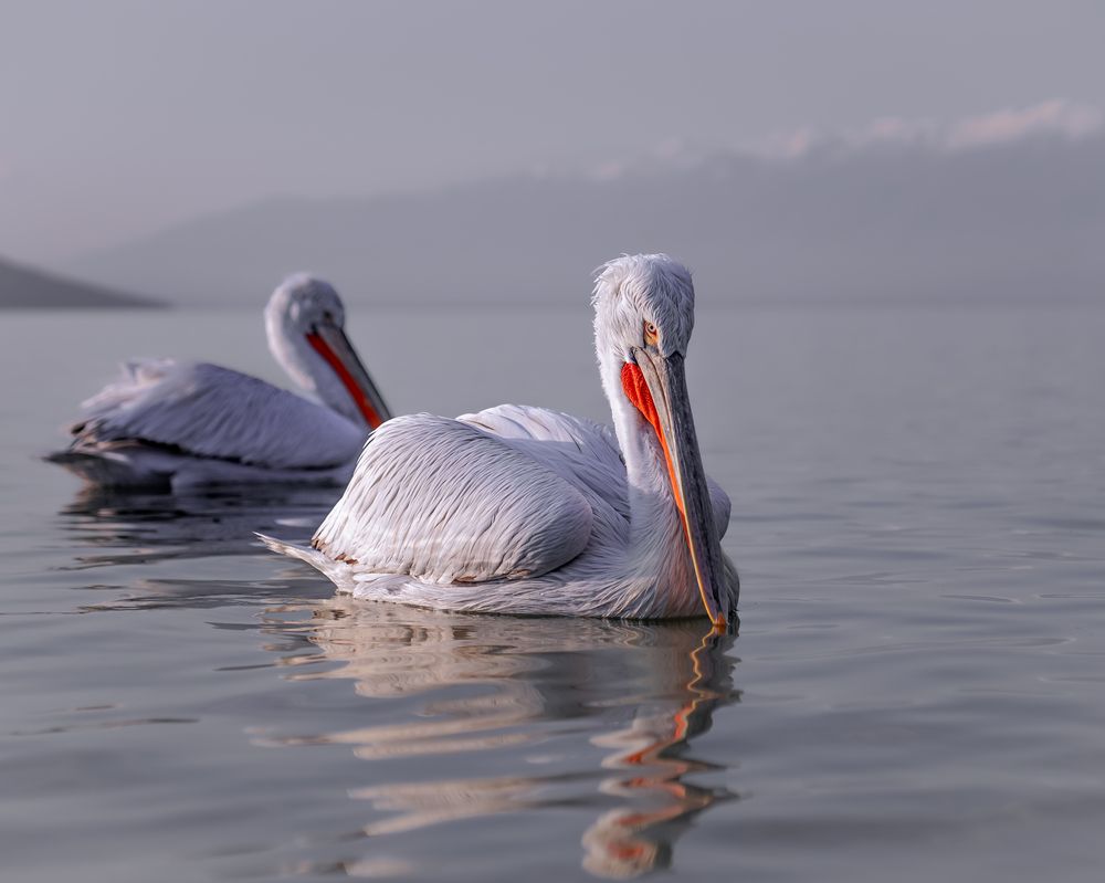 A silent conversation