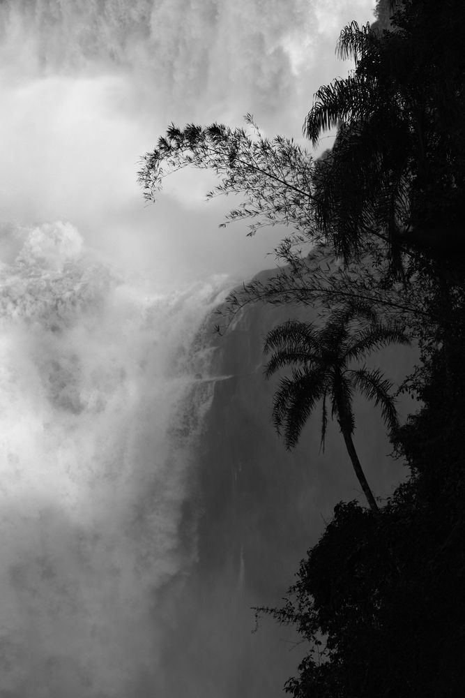 Photograph by SI SABER LOTFI