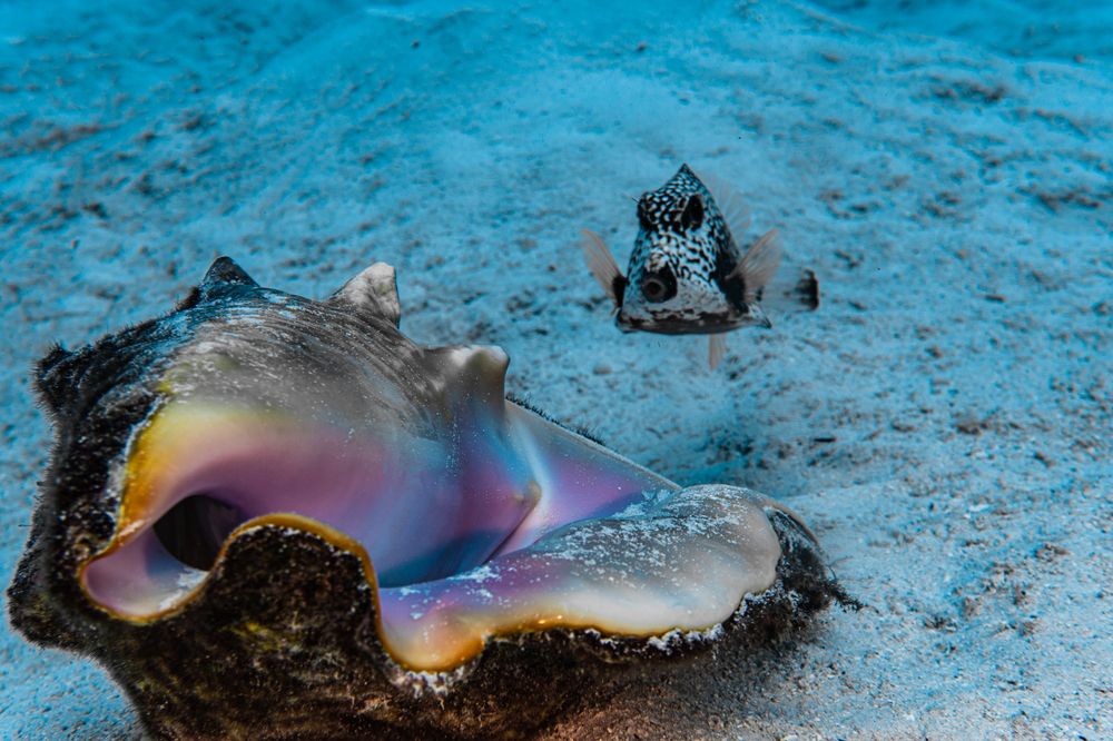 Photograph by JUAN M GUZMÁN