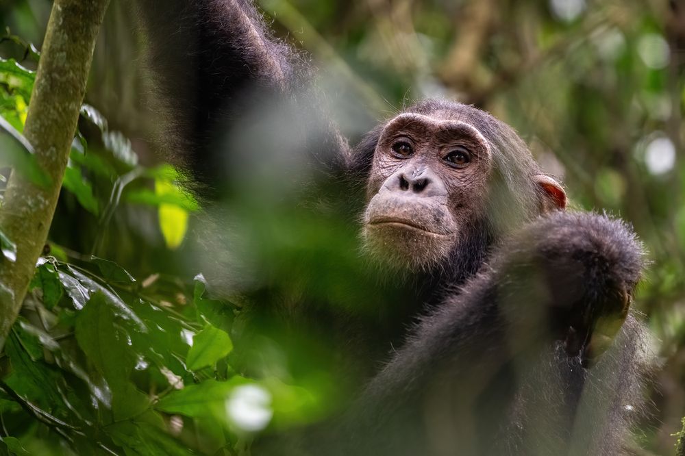 Photograph by Gatis Vilbrants