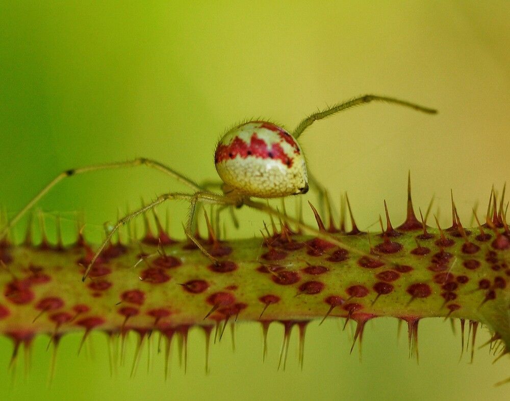 Photograph by Дмитрий