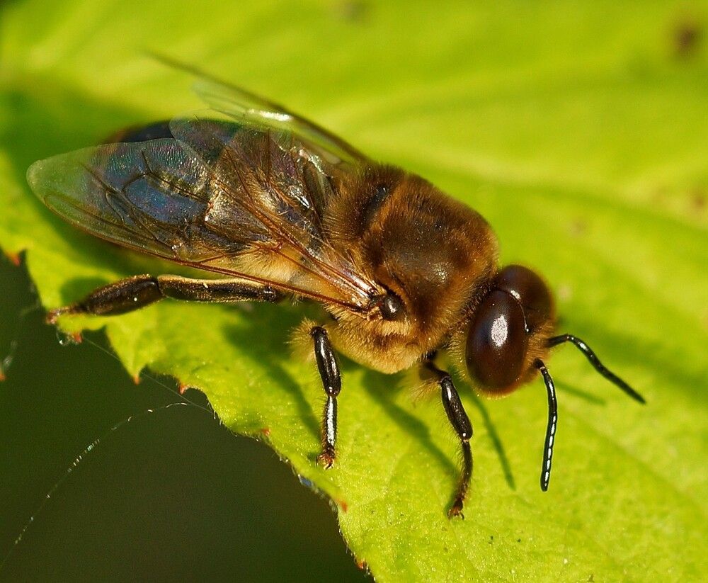 Photograph by Дмитрий