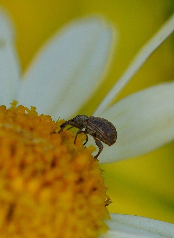 Photograph by Дмитрий Сорокин