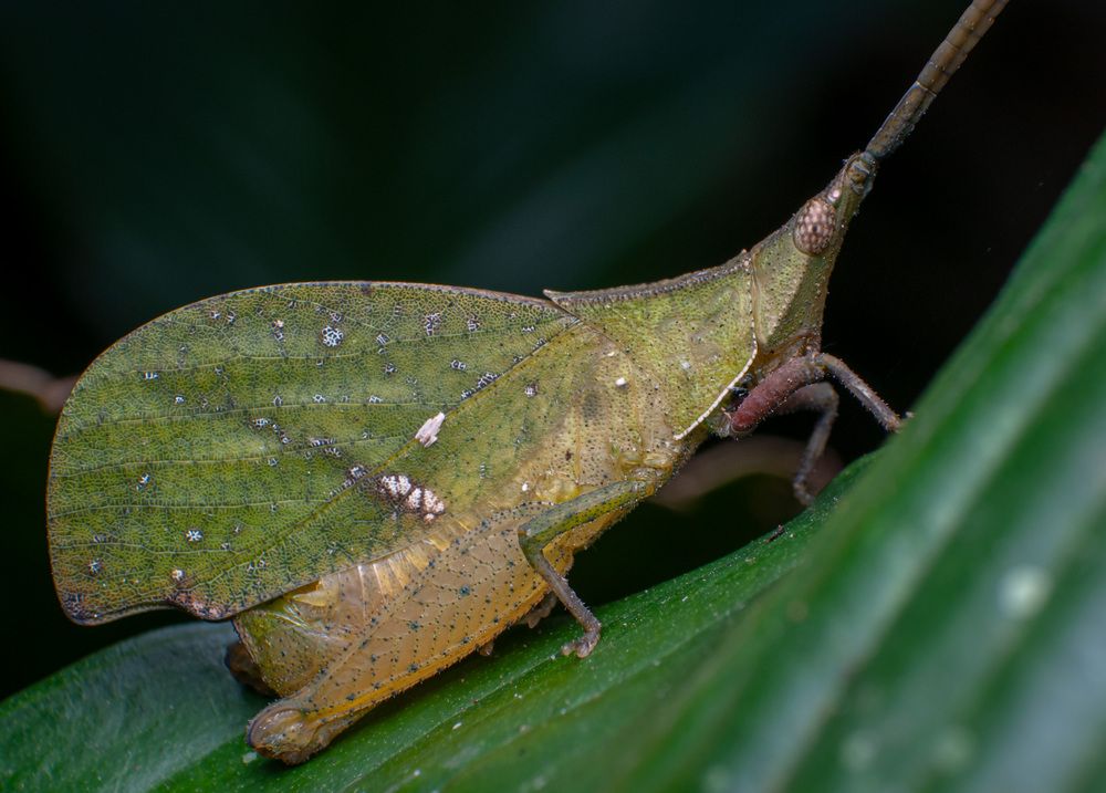 Photograph by Norman Celis