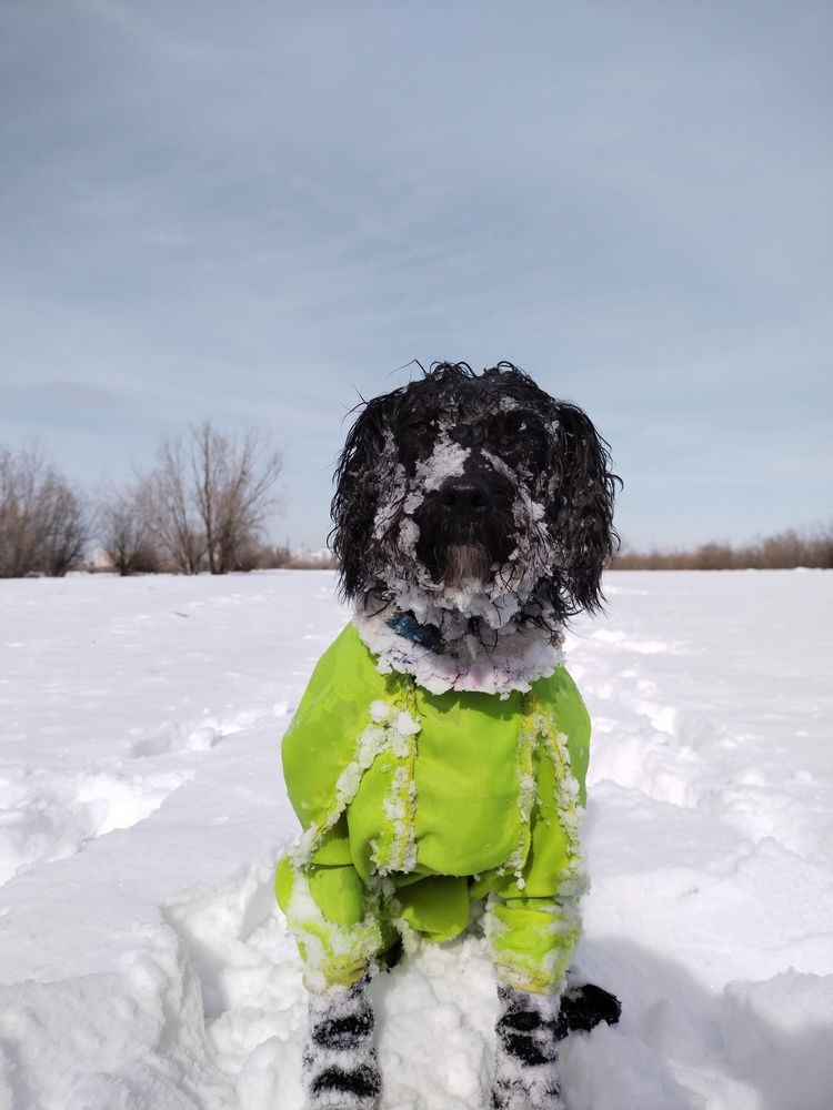 Photograph by Елена Халыева