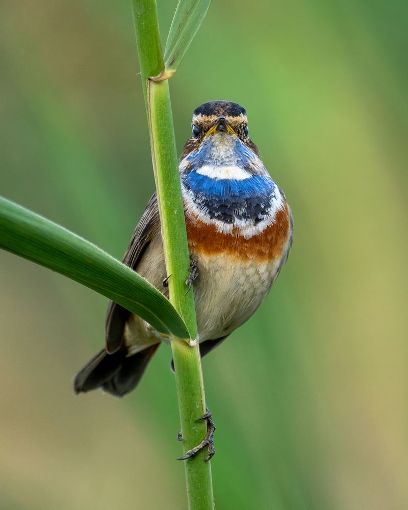 Фотография автора Prejul Prakash