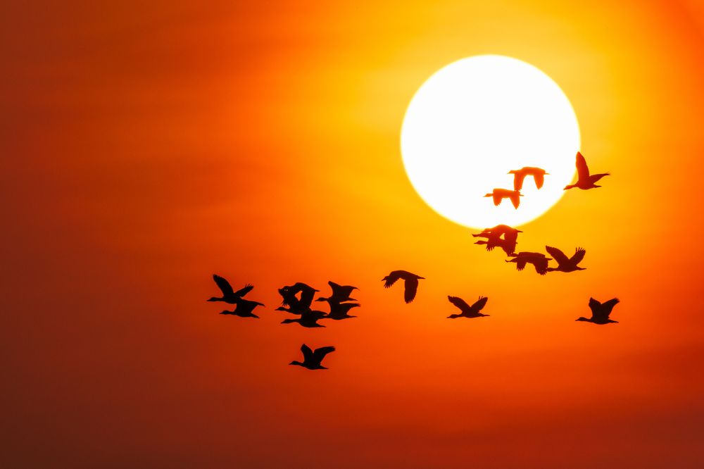 Photograph by Mohammad Hasan