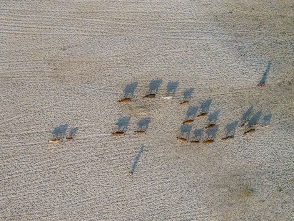 Photograph by Mohammad Hasan