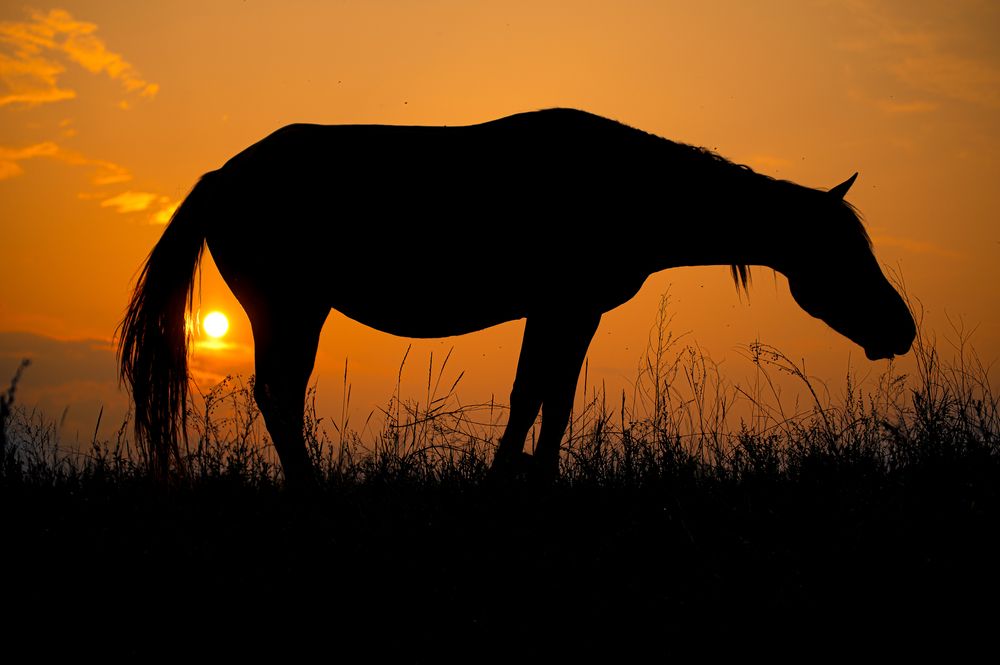 Photograph by Oleg Fedorov