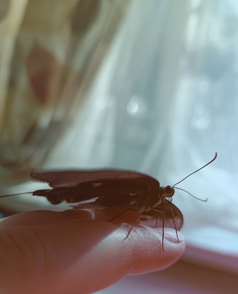 Photograph by Наталья Шумилова