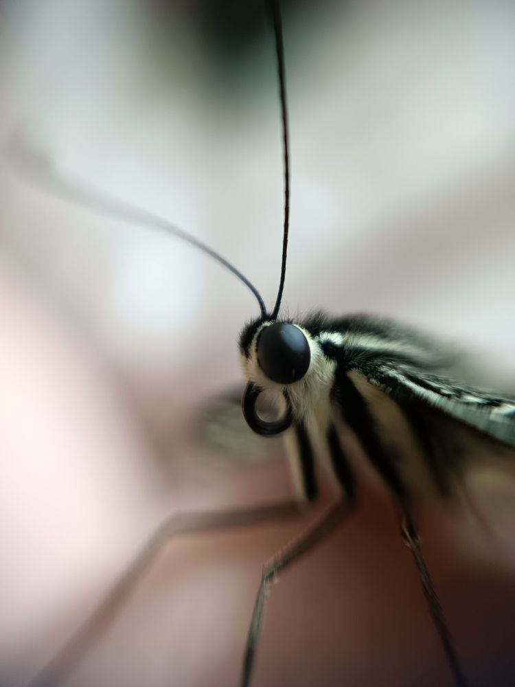 Photograph by Наталья Шумилова