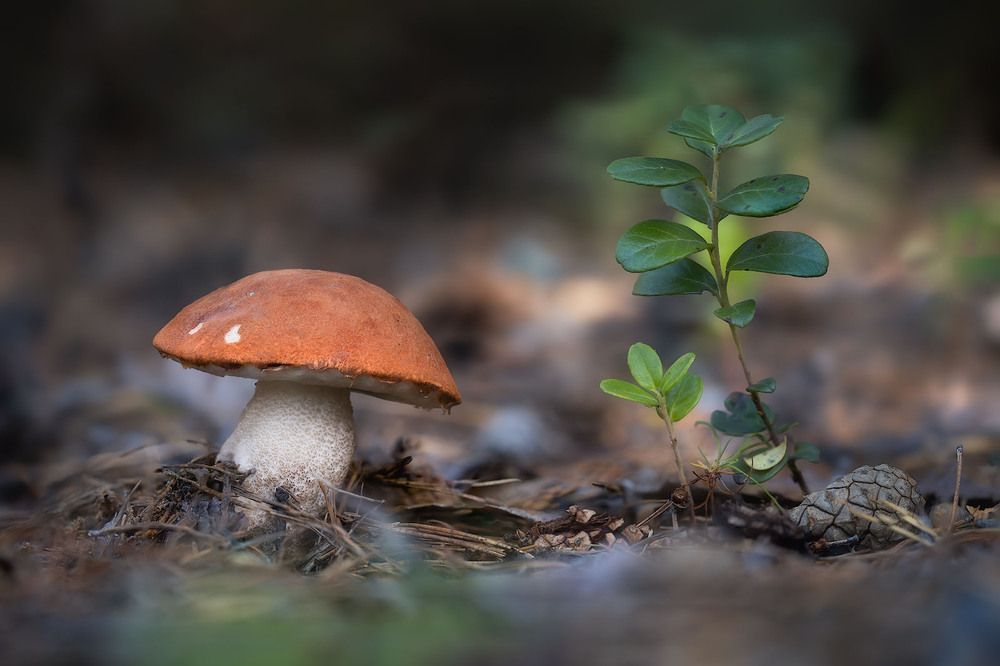 Photograph by Алексей Вымятнин