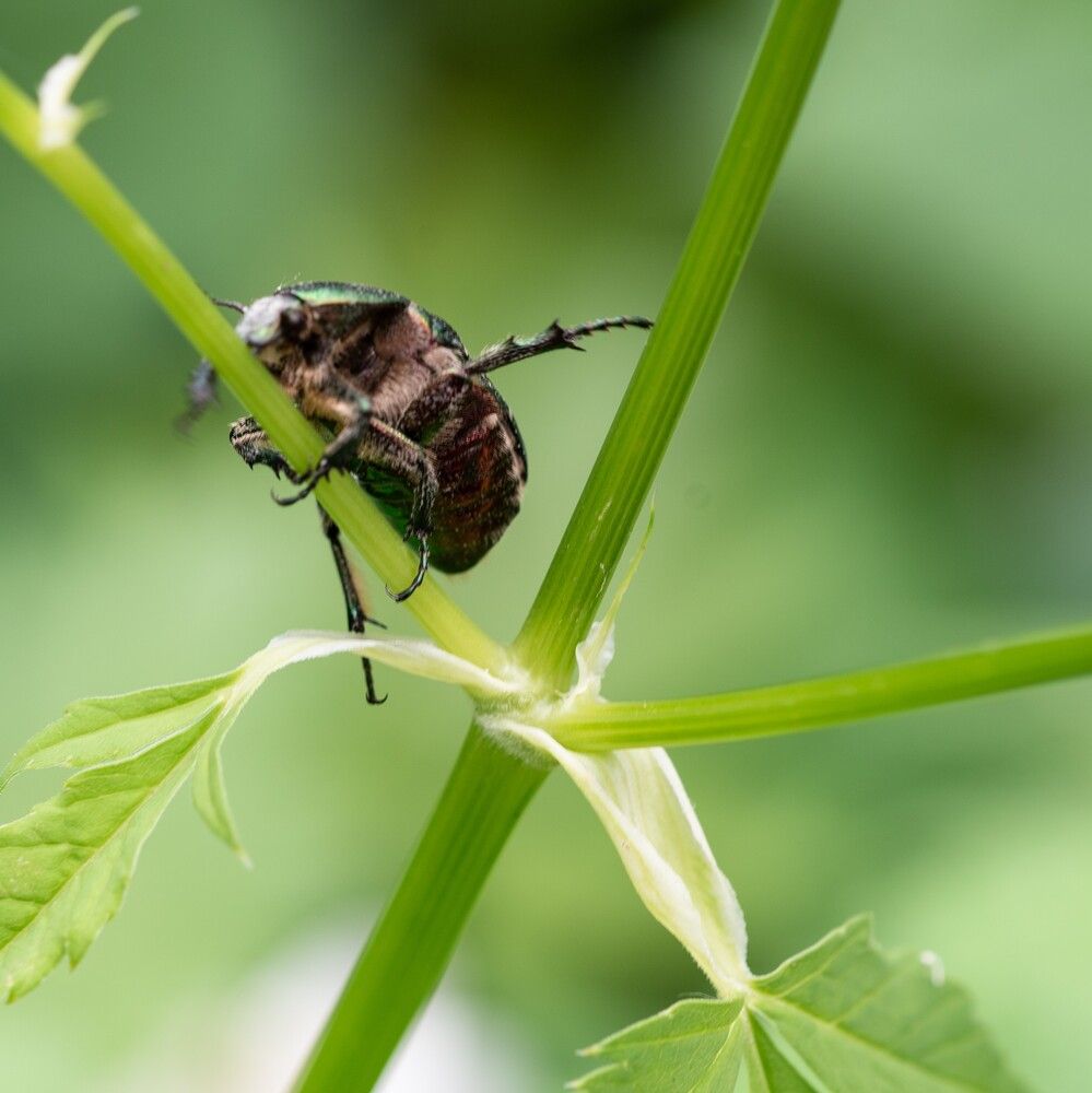 Photograph by Ксения Шилина