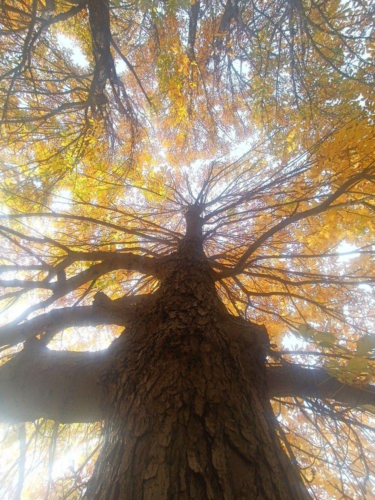 Photograph by Ангелина Воронцова