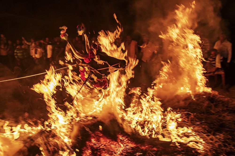 Photograph by LOKANATH MUDA