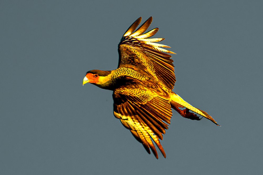 Photograph by Olga Novoselskaya