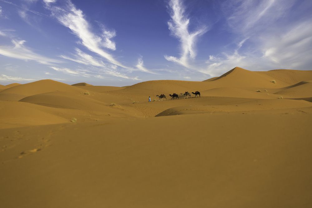 Photograph by Michael Latman